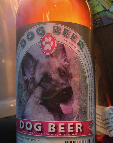 Dog beer - Now there's an interesting treatment for arthritis in dogs!